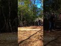 disc golf miracle 😄 #discgolf #foryou #frisbeesport #sports #discgolfnation