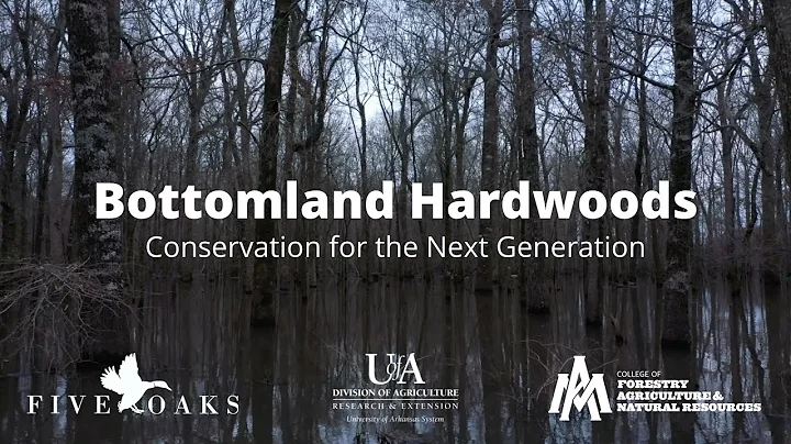 Bottomland Hardwoods: Conservation for the Next Generation