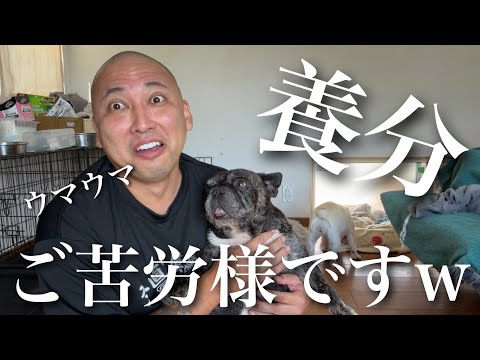 「刺青タトゥー入れてる奴はバカ」を否定してる奴らへのサムネイル