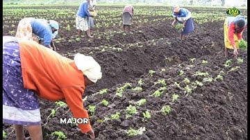 Module 3:  Soil management and soil fertility /types of soil