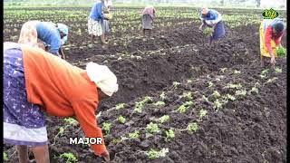 Module 3:  Soil management and soil fertility /types of soil