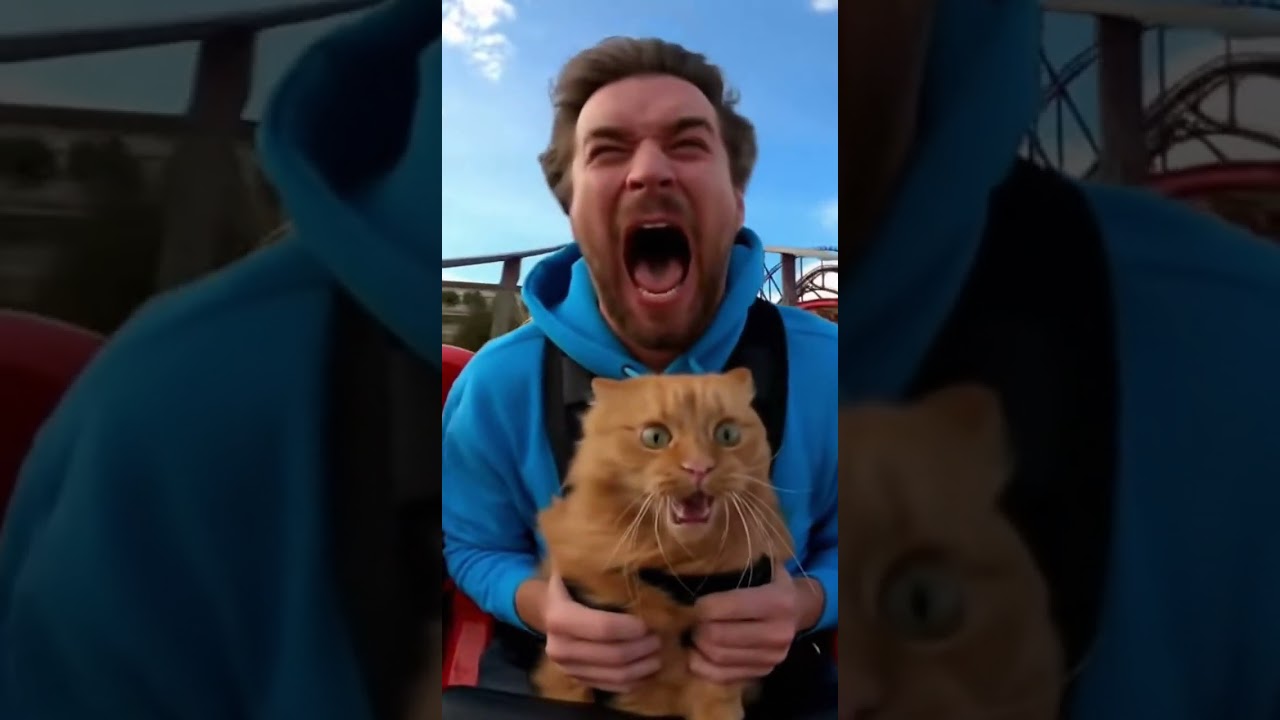Real high-speed coaster ride — orange cat screams with owner in hilarious moment!