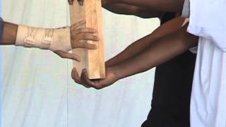 Master Morrissette Jump Back Kick Blindfolded 3 Boards Closeup