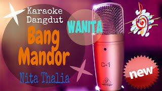 Karaoke Dangdut Bang Mandor - Nita Thalia [Nada Cewek]