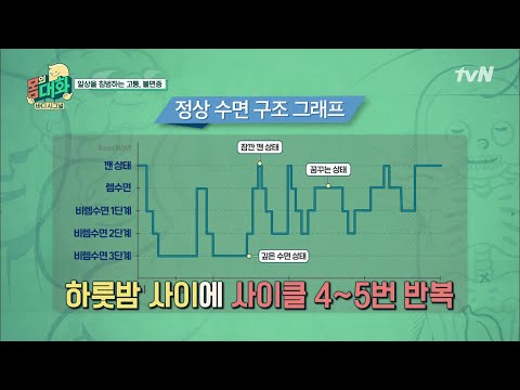 렘수면은 꿀잠? 수면 구조 그래프로 알아보자! | 건강함의 시작, 몸의 대화 body talk EP.6