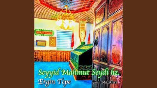 Himmet — Ergin Tepe kapak görseli
