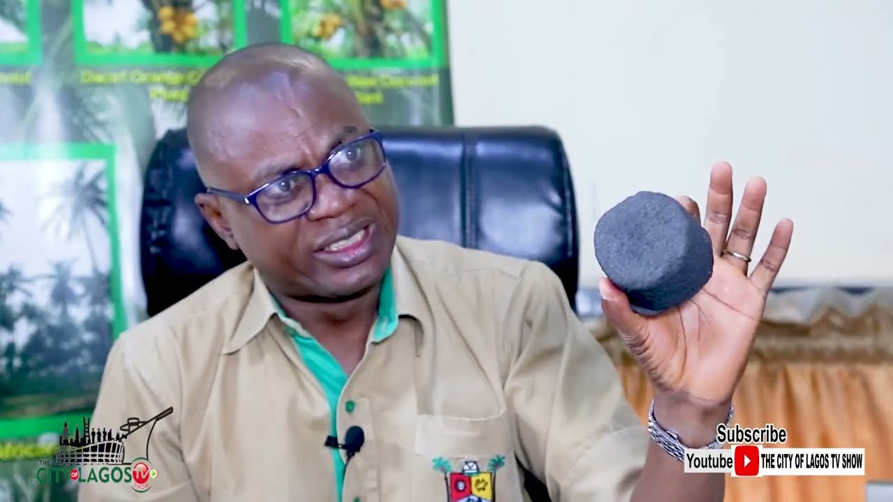 Ways to Make Money from Coconut in Lagos