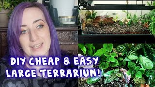 How to DIY  Large Aquarium Terrarium for Cheap  Rare Jewel Orchids, Begonias & More! | PLANT DIY