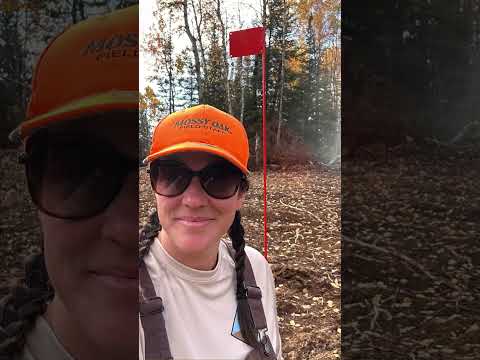 November 25 Press Release: High-Grade Results Highlight Significant Expansion Potential at Mud Lake