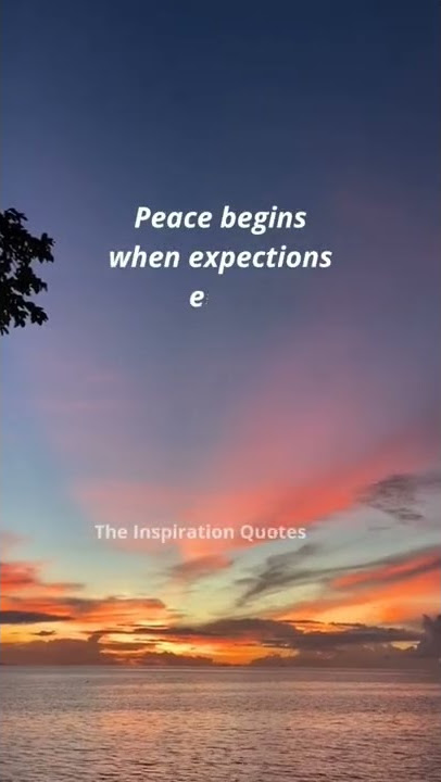 Peaceful status for WhatsApp☮️✌️Unique status for WhatsApp😉 #peace #shorts #peaceful #status