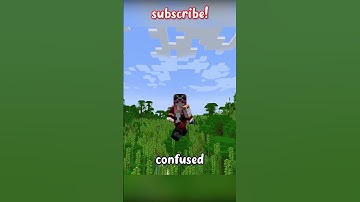 The MOST USELESS Minecraft Structure