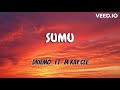 Driemo ft M Kay Cee_ SUMU (Lyrics)