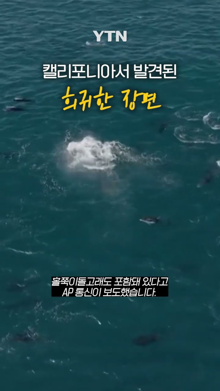 매우 이례적인 광경 #shorts / YTN