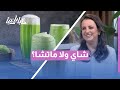 الشاي أم الماتشا؟ اكتشف أيهما يمنحك طاقة وفوائد أكبر