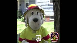 Sparky Meeting place