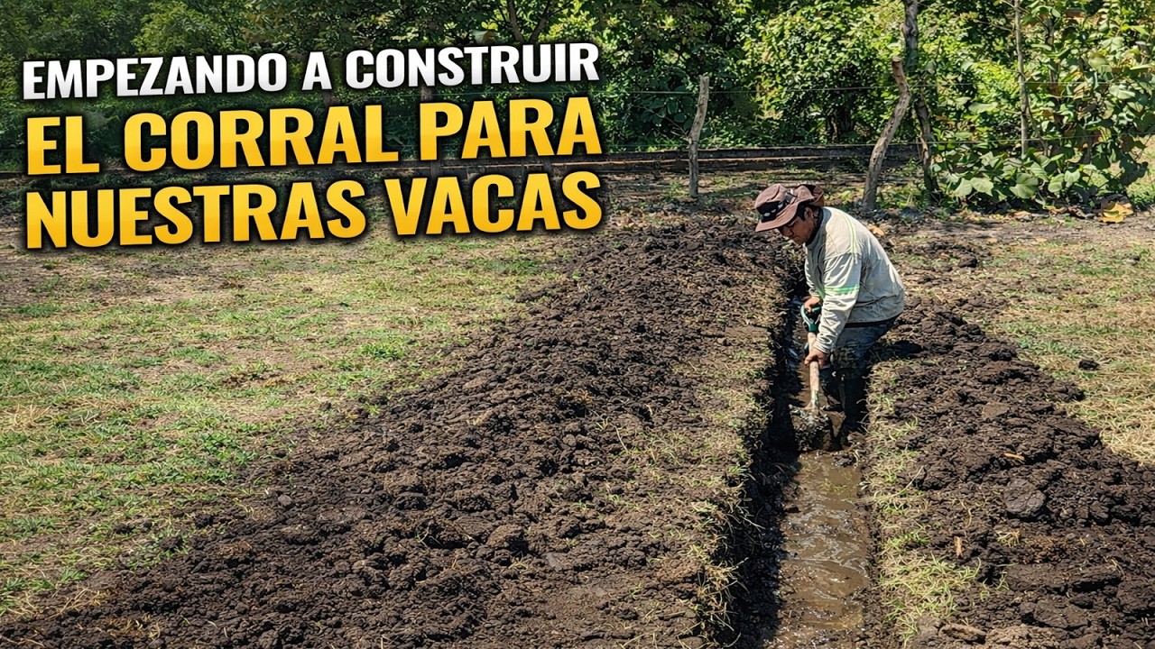 Asi EMPEZAMOS A CONSTRUIR el CORRAL PARA LAS VACAS en La Finca del Patechucho