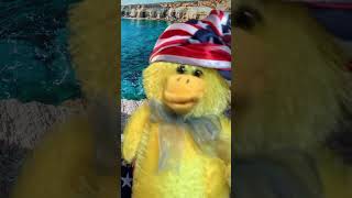 Why people should ride a bike to work amid nonstop strikes btw T Union and T Auto industry 🛑🚴‍♀️