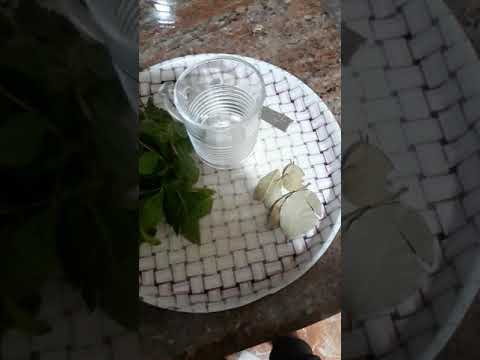 زهورات كتير مفيدة للشتاء متوفرة بكل منزل