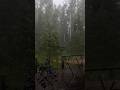 It just heals... @puresky1 #rain #music #calm #nature #naturelovers #shorts #trending #yt