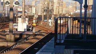 南武線E233系8000番台各駅停車川崎行を撮った。武蔵中原駅　Japanese train