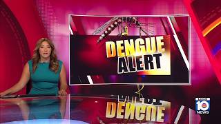 Dengue case confirmed in Miami-Dade County