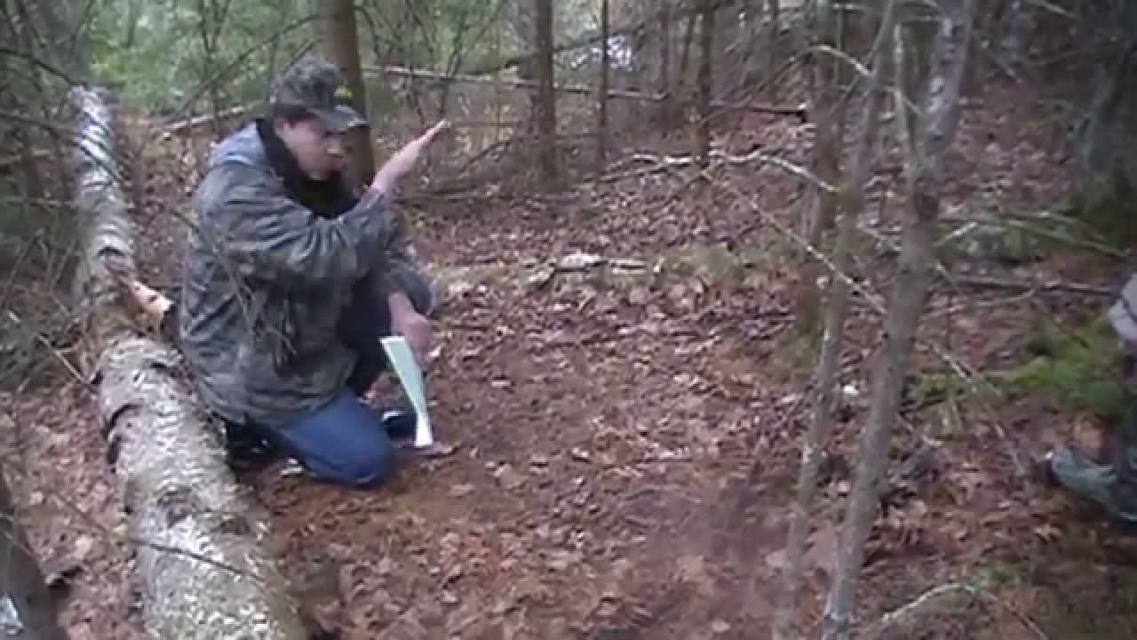 BIGWOODS HILL COUNTRY BUCK BEDDING YouTube