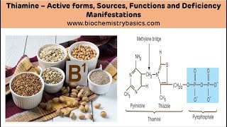 Thiamine - Sources, Functions and Deficiency || Vitamin B1 Biochemistry || Thiamine Biochemistry