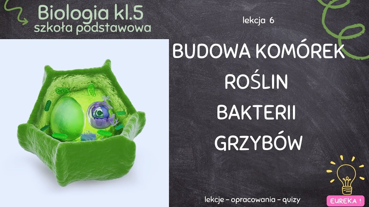 Biologia klasa 5 - lekcja 6 - Komórka roślin, bakterii, grzybów - YouTube