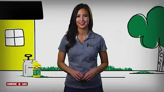Compare N' Save Quick Acting Weed Killer