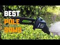 Best Pole Saws in 2020 - Top 6 Pole Saw Picks