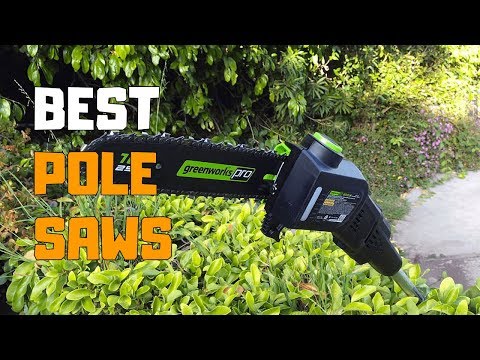 Video: Electric Garden Pole Pruner: Features Of Telescopic Chain Pruners, Ryobi And Greenworks, Lux-Tools And Zigzag Features