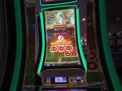 Planet 7 No Deposit Bonus