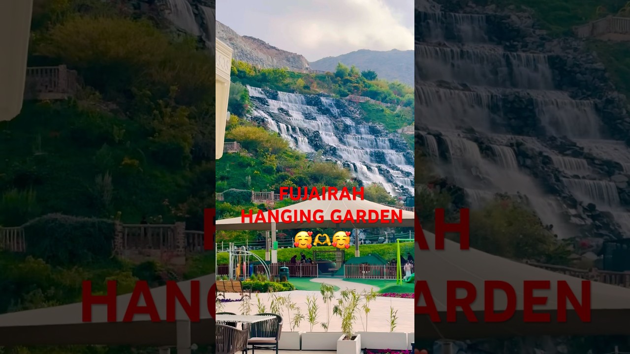 💫Wonderful weekend || 