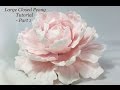 Standard Gumpaste Peony - Part 1