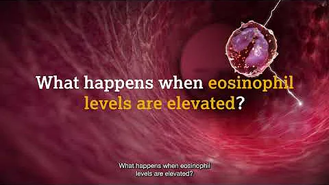 What are eosinophils?