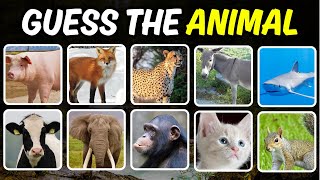 Can You Guess This Animal? 🤔 | Animal Quiz