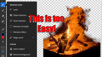 How to use the Magic Wand tool photoshop for iPad Pro