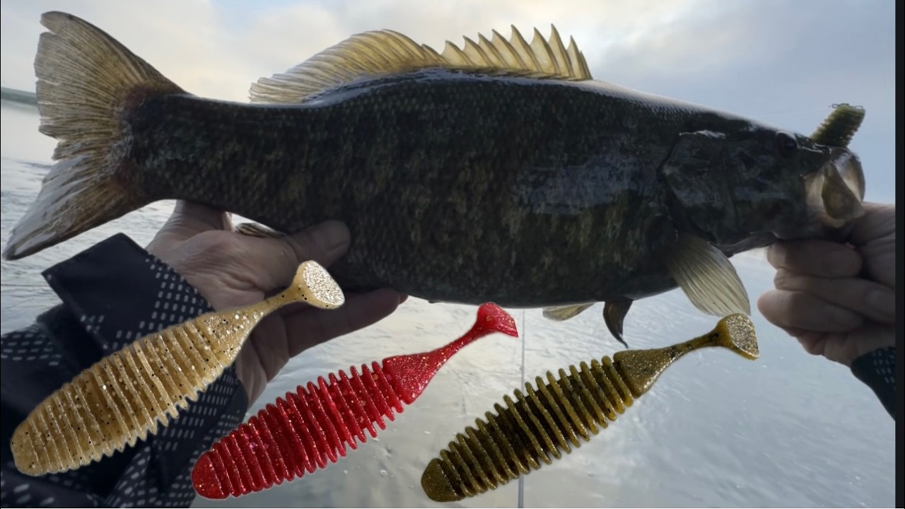 How do you choose the right color? [Bass Fishing] - YouTube