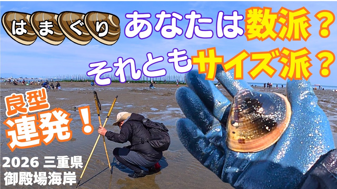 潮干狩り編：2026年 御殿場海岸のハマグリ！ 探れば大物もゲットできる！