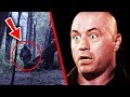 TOP 10 UNTOLD TRUTHS ABOUT BIGFOOT!!!