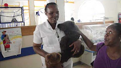 Day 6, Mandeville General Hospital