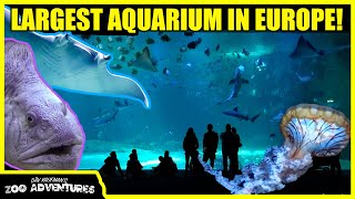 TOURING EUROPE&#39;S LARGEST AQUARIUM (Nausicaá Aquarium, France)