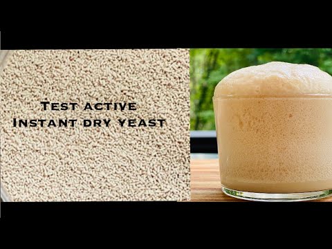 How to test if dry instant yeast is active? | Test before baking bread | #amruthamakhilaintlo