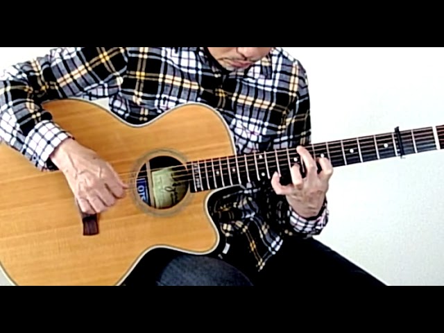 Berg Guitars A5C OTS2.0 ローズウッドモデル オーバートーンシステム