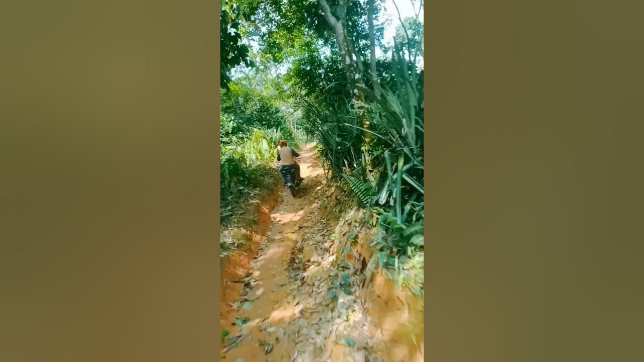 mau seruduk aki aki#janganlupasubscribe - YouTube