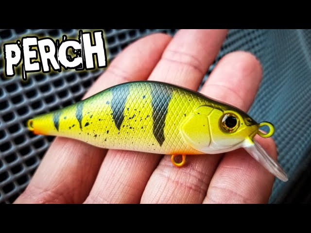 Painting a Perch Crankbait (Beginner Airbrush Lure Painting) 