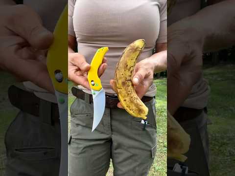6 Funny Food Pocket Knives