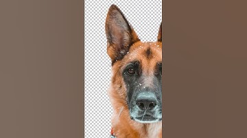 Stop, Drop & Photoshop: How to Refine Edges #shorts #photoshop