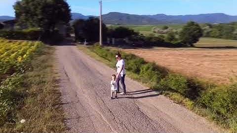 sunflower in mugello in 4K with mavic air 2