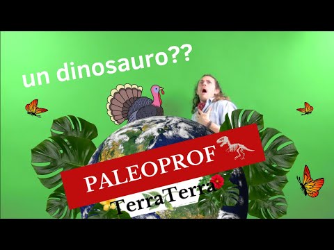 Video: L'ittiosauro è un dinosauro?